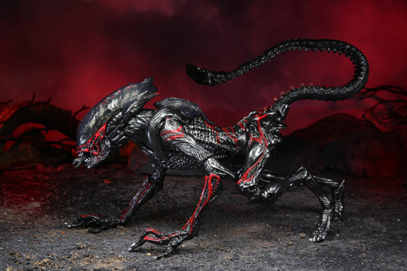 Night Cougar Alien – 7″ Scale Action Figure 