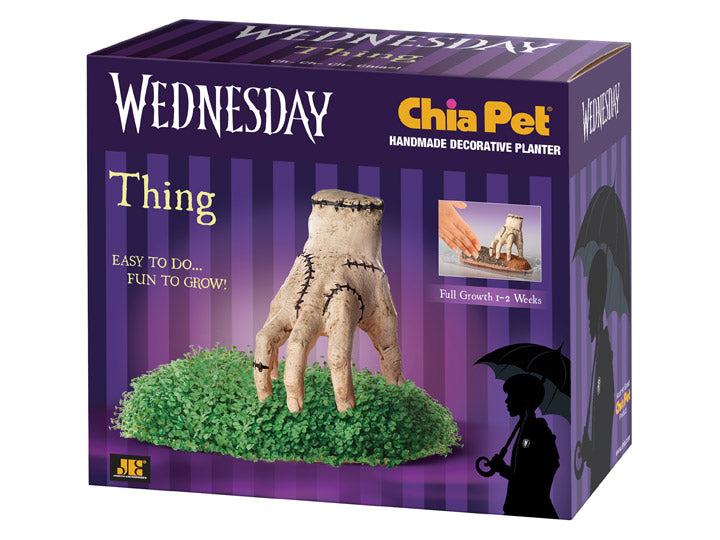 Wednesday Thing Chia Pet