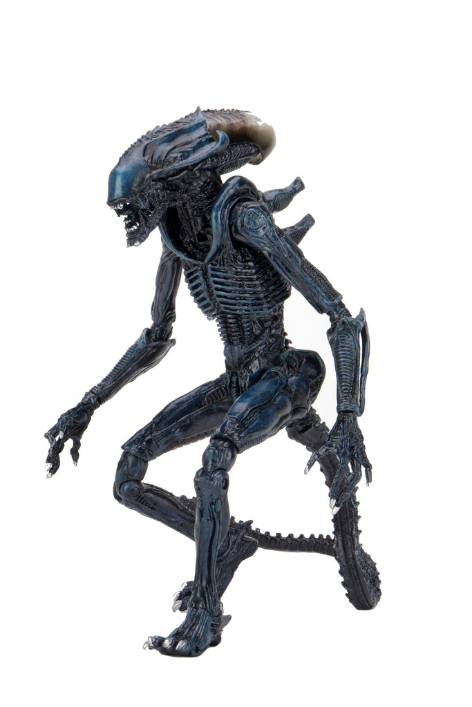 Arachnoid Alien Action Figure (Movie Deco) 
