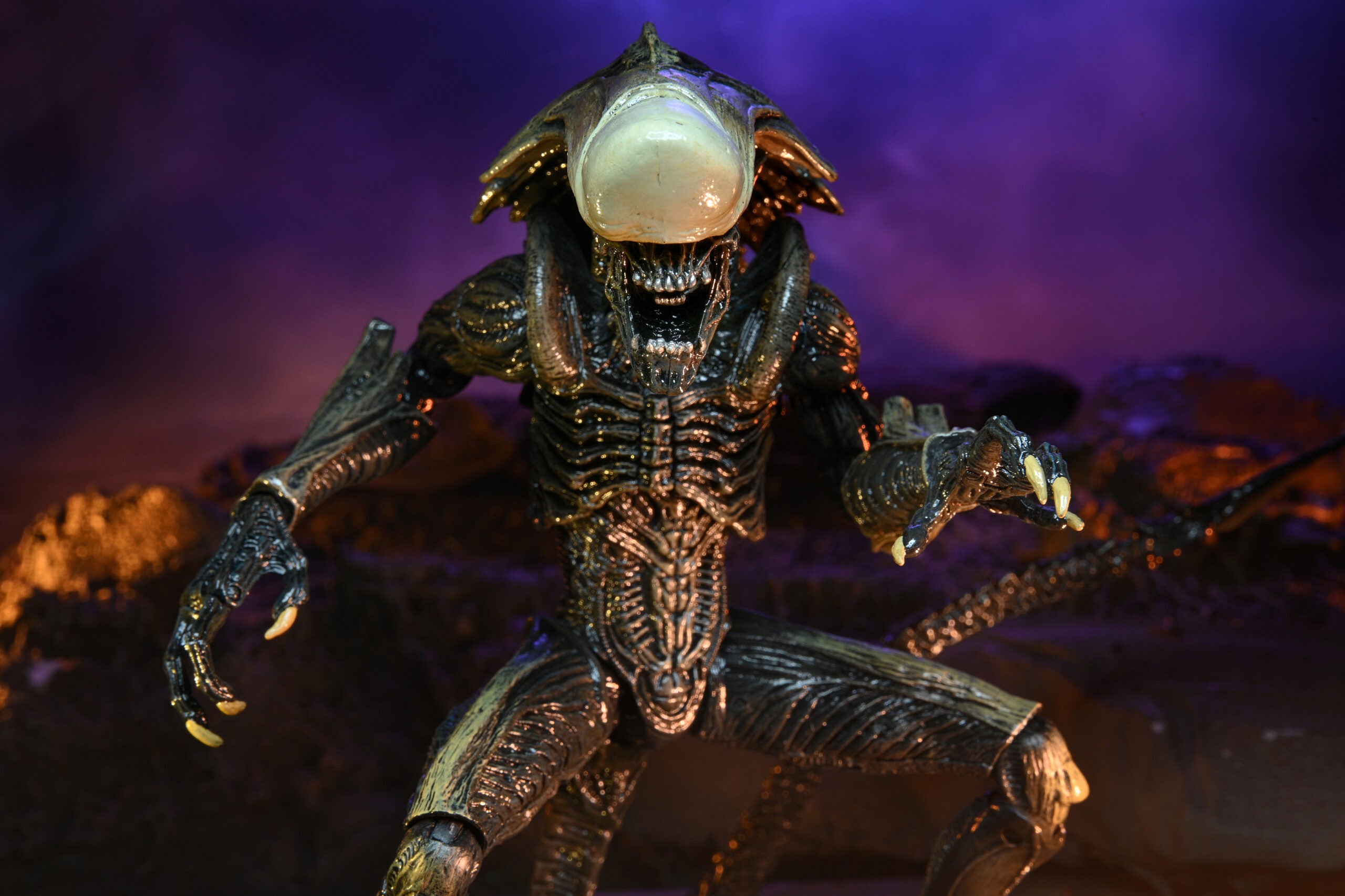  NECA - Aliens vs Predator (Arcade Appearance) - 7 Scale Action  Figures - Razor Claws : Toys & Games