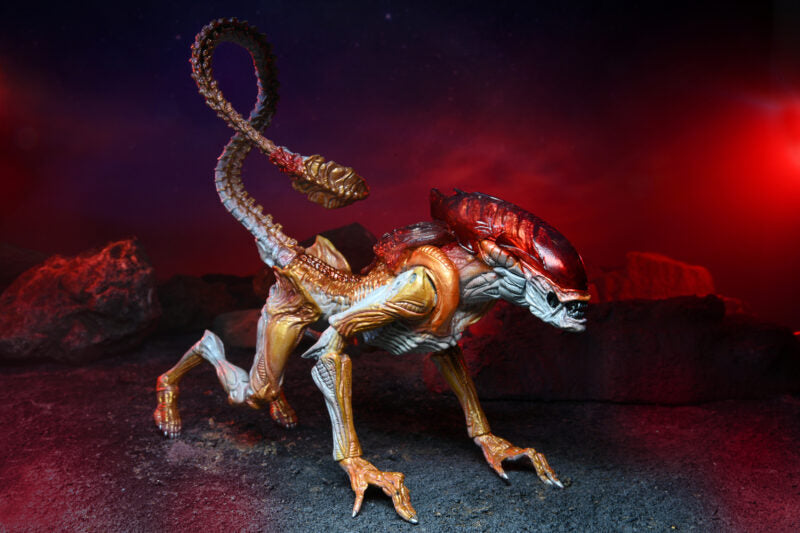 Panther Aliens 7″ Scale Action Figure – Kenner Tribute 