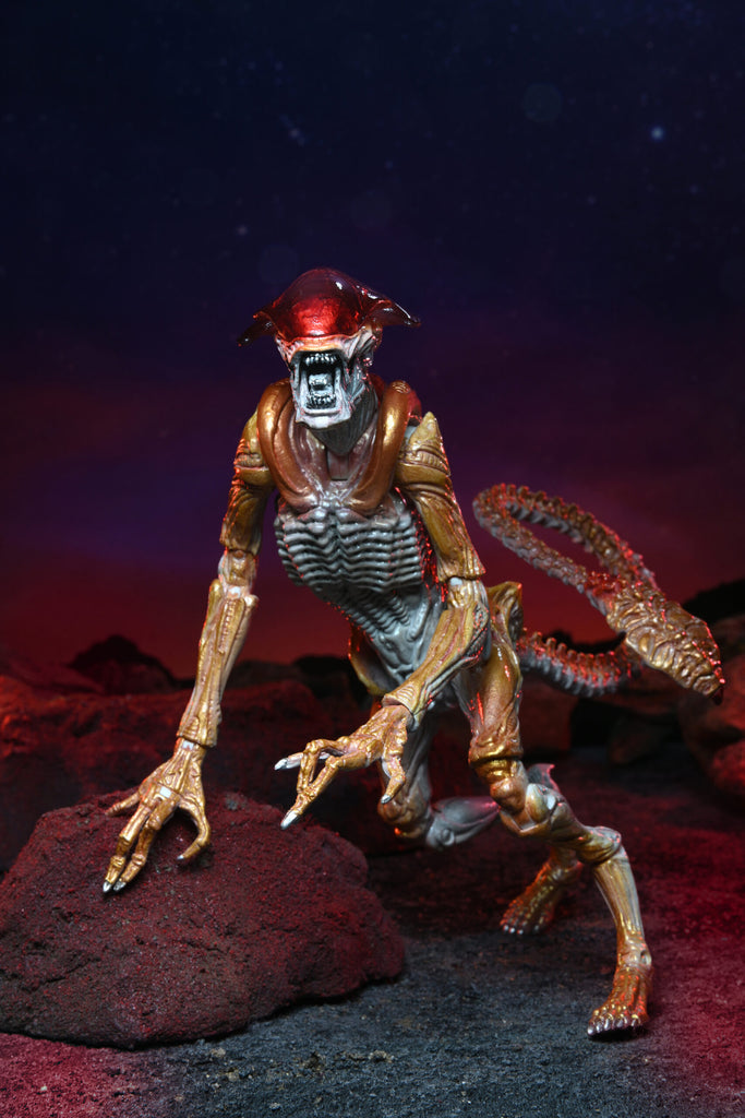 Panther Aliens 7″ Scale Action Figure – Kenner Tribute 3