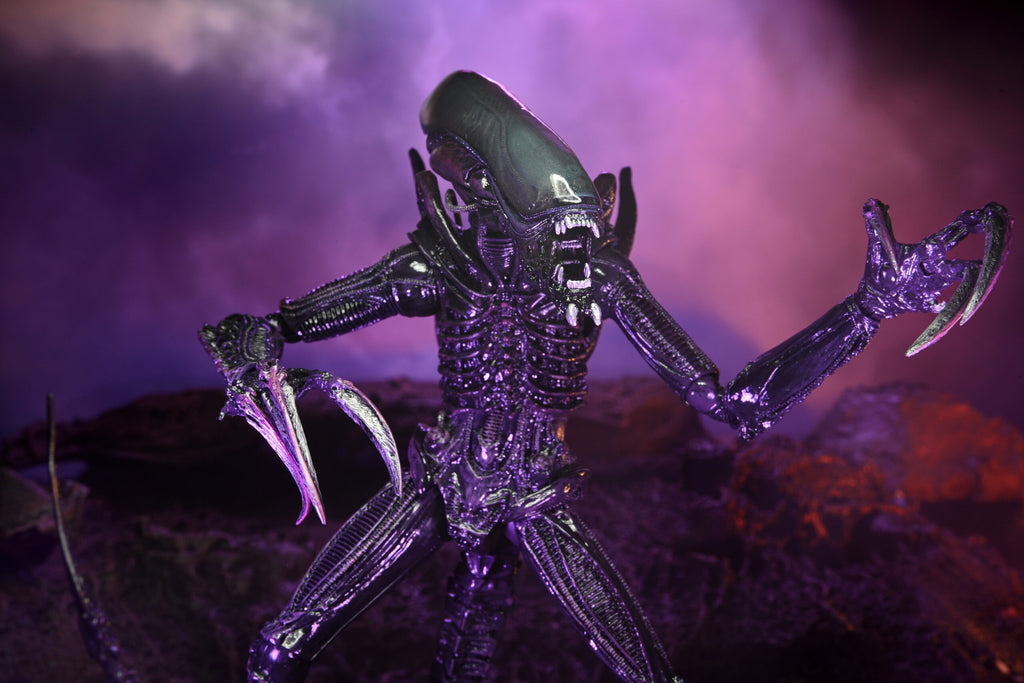 Alien vs. Predator Action Figures - Razor Claws (Movie Deco) 3