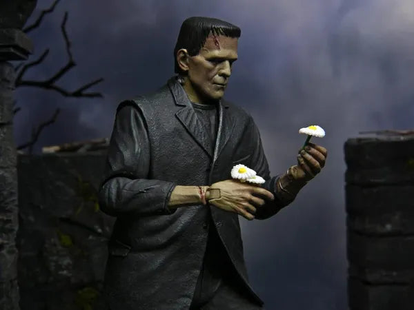 Ultimate Frankenstein Action Figure 7 inch - Monster (Color)  